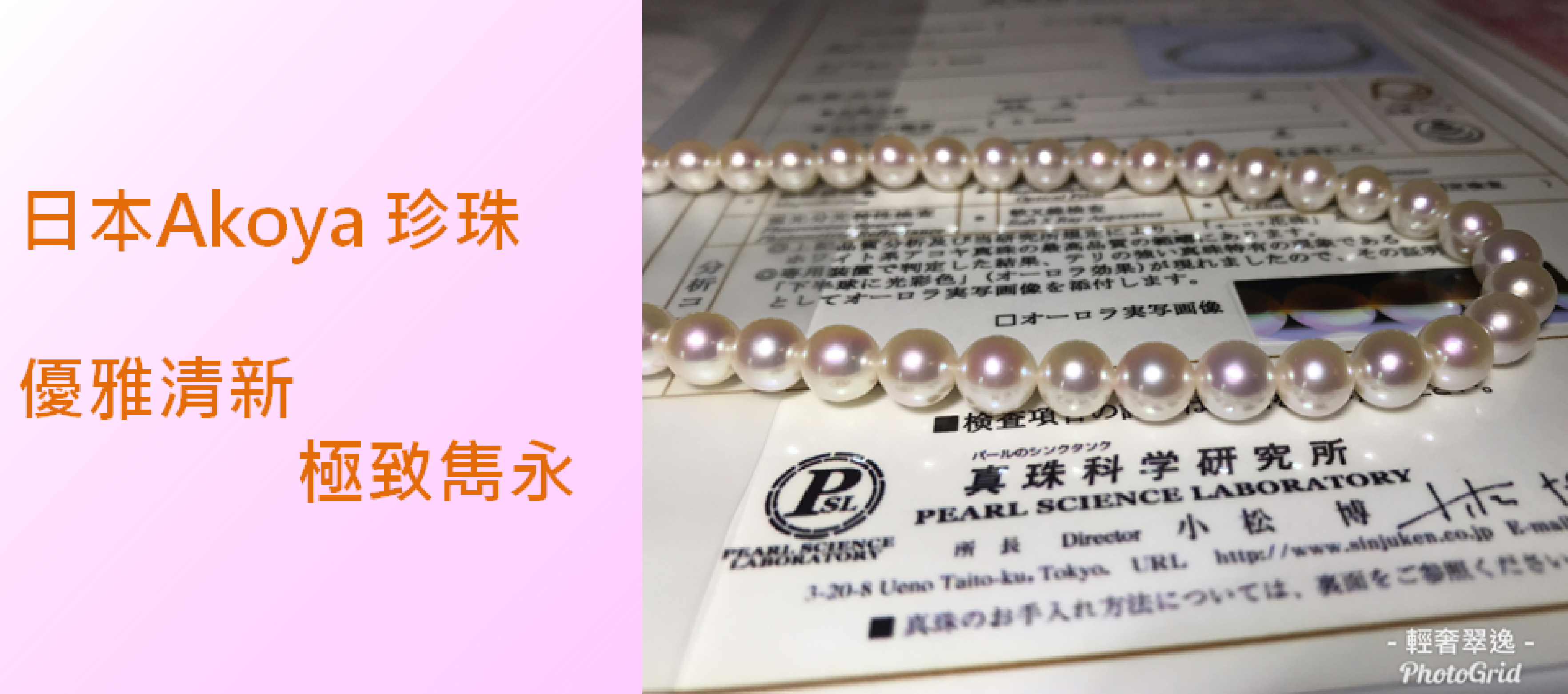 日本Akoya 珍珠